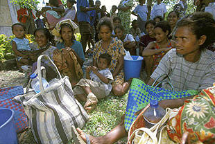 World Food Programme photo